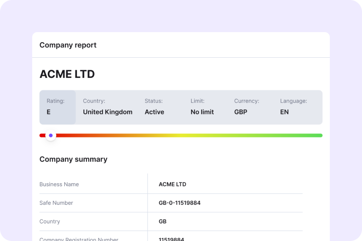 Know Your Business credit bureau report example