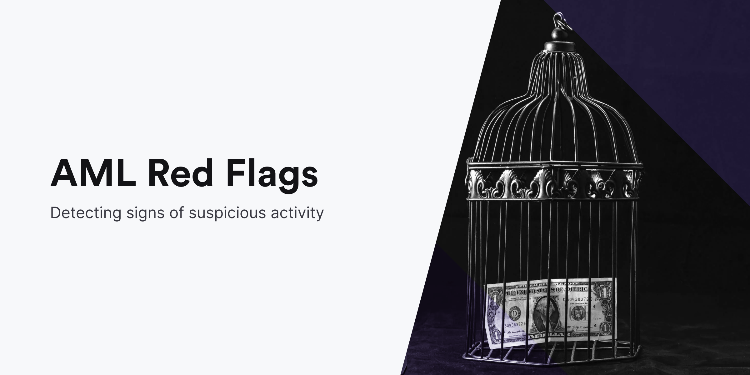 AML red flags