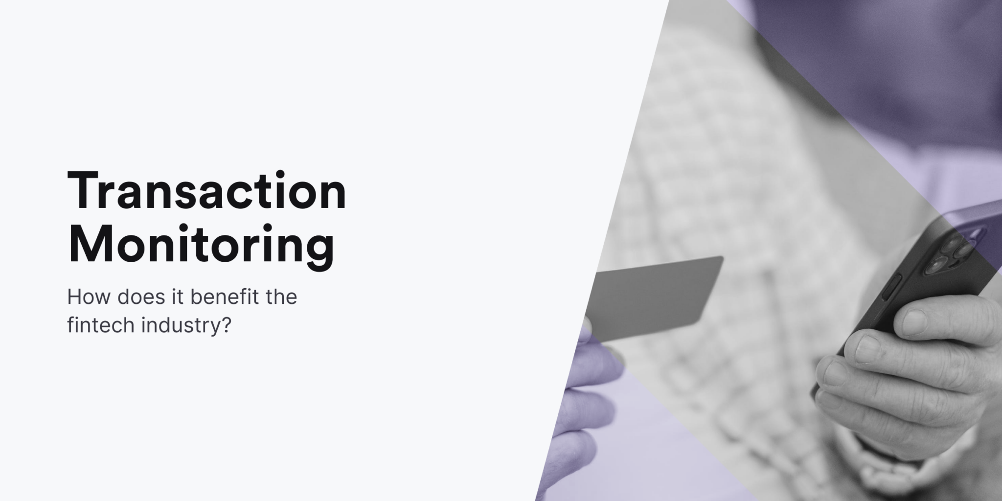 Transaction Monitoring Software in Fintech: How to Set it Up? - iDenfy