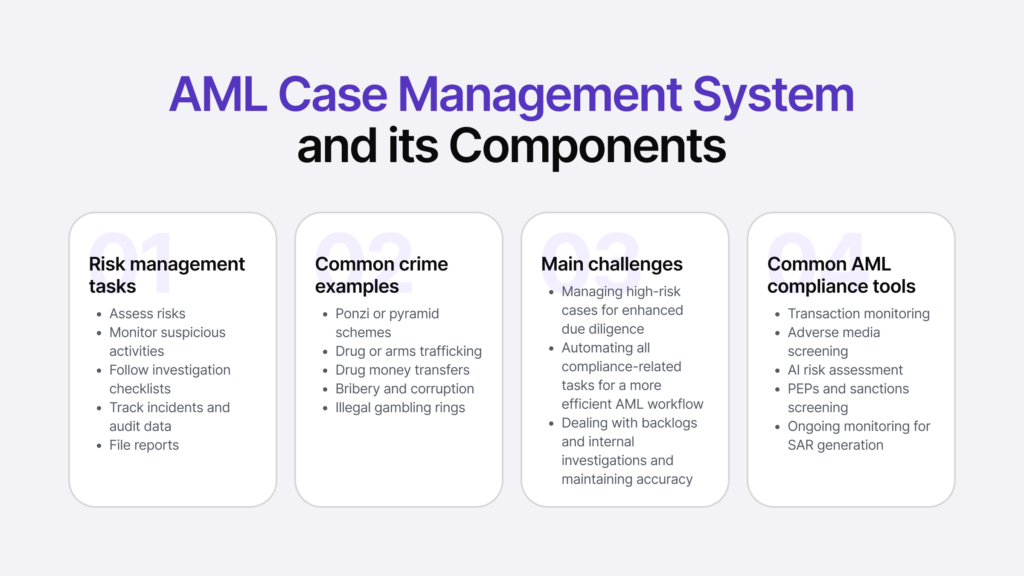 Infographic summarising the components of an AML case management system.