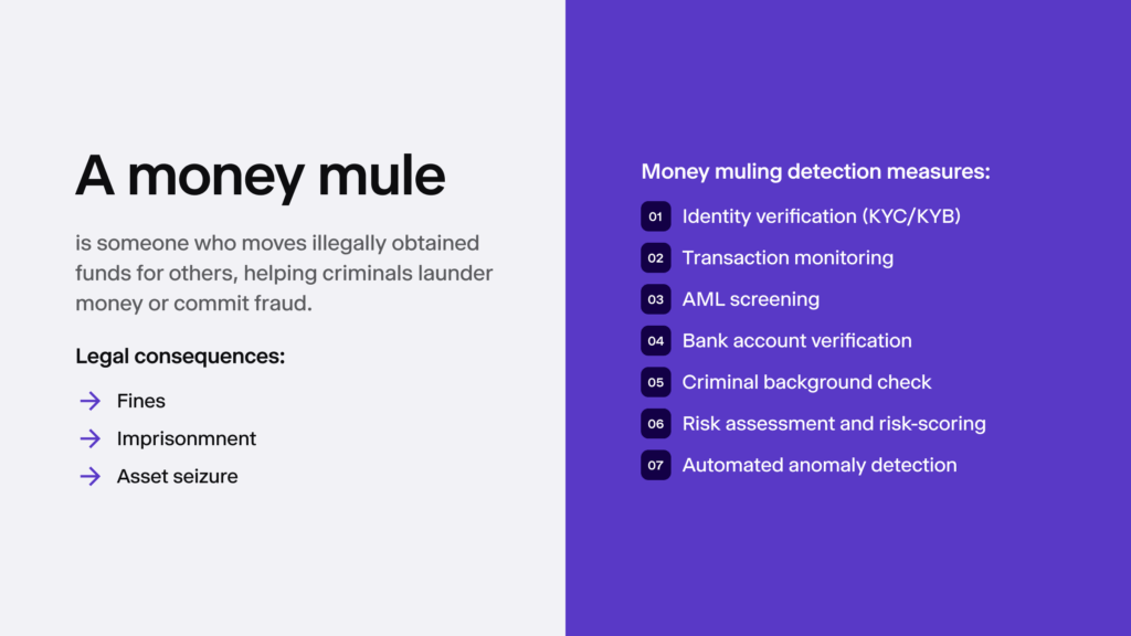 Infographic summarising the main points on money mules.